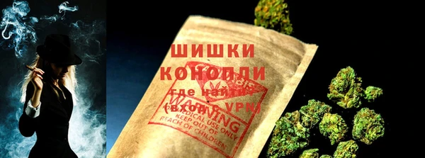 прущие грибы Белокуриха
