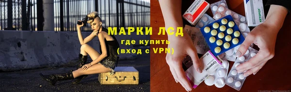 прущие грибы Белокуриха