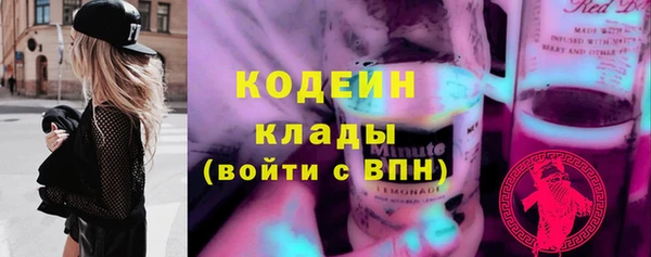 прущие грибы Белокуриха