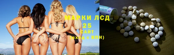 прущие грибы Белокуриха
