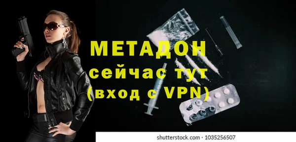 прущие грибы Белокуриха