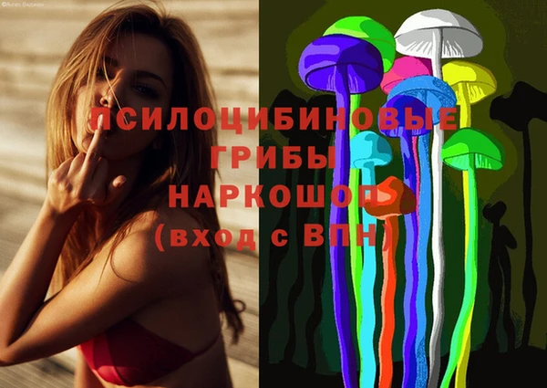 альфа пвп Беломорск