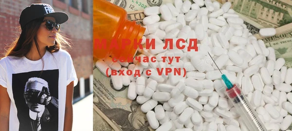 прущие грибы Белокуриха