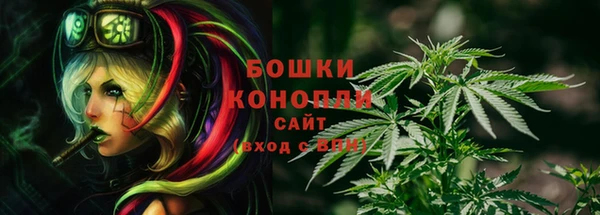 прущие грибы Белокуриха