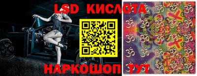 СК Бердск