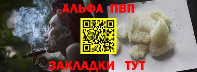СК Бердск