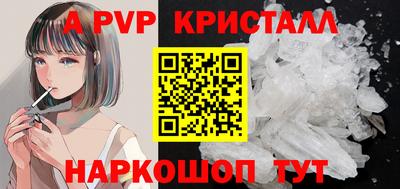 СК Бердск
