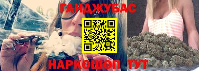 СК Бердск