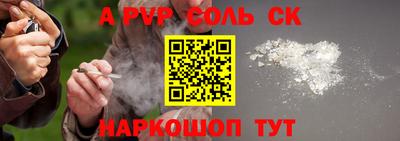 СК Бердск