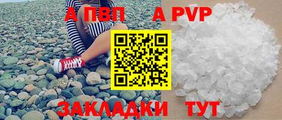 СК Бердск