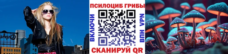 Галлюциногенные грибы Cubensis Великие Луки