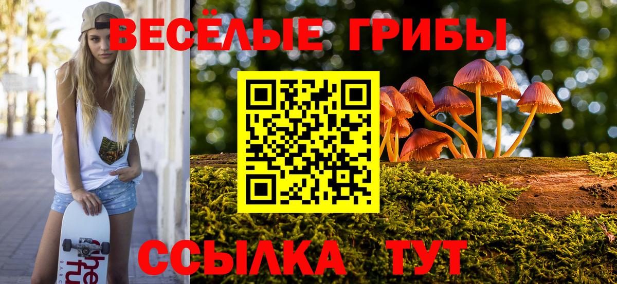 Псилоцибиновые грибы MAGIC MUSHROOMS Великие Луки